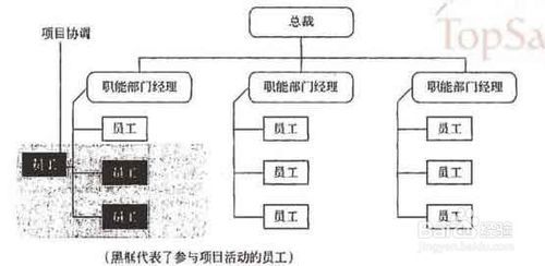 系统集成项目管理工程师考试